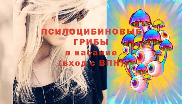 ГАЛЛЮЦИНОГЕННЫЕ ГРИБЫ Алзамай