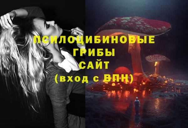 ГАЛЛЮЦИНОГЕННЫЕ ГРИБЫ Алзамай