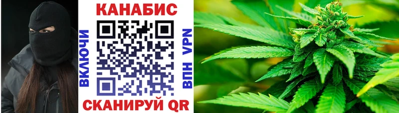 наркотики  Хвалынск  Канабис индика 